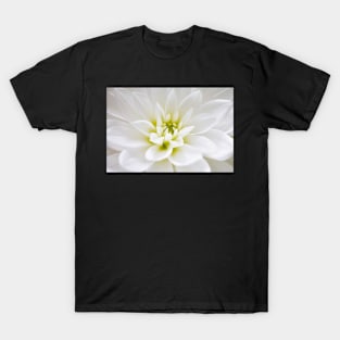 White Dahlia T-Shirt